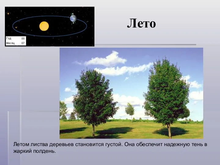 Летом листва деревьев становится густой. Она обеспечит надежную тень в жаркий полдень. Лето