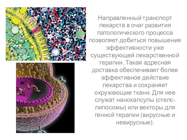 Направленный транспорт лекарств в очаг развития патологического процесса позволяет добиться повышения