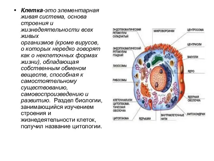 Клетка-это элементарная живая система, основа строения и жизнедеятельности всех живых организмов