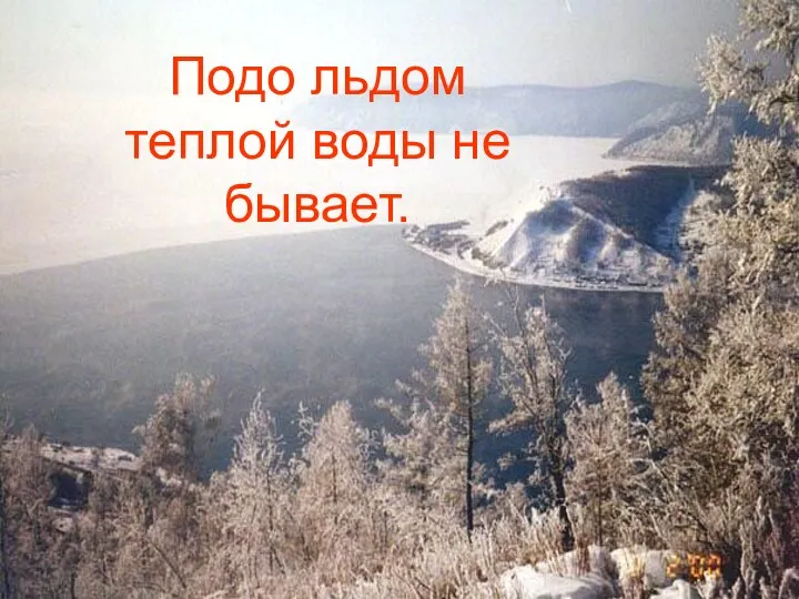 Подо льдом теплой воды не бывает.