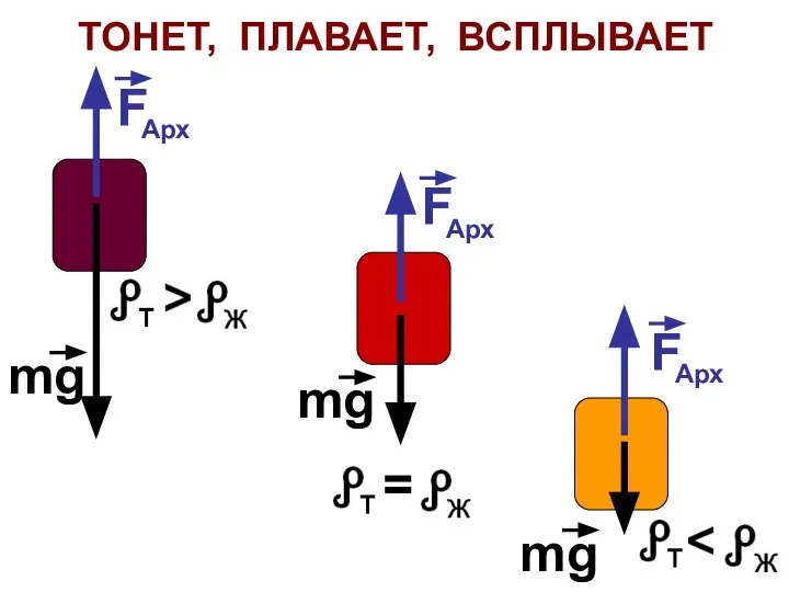 ТОНЕТ, ПЛАВАЕТ, ВСПЛЫВАЕТ F Арх F Арх F Арх mg mg mg