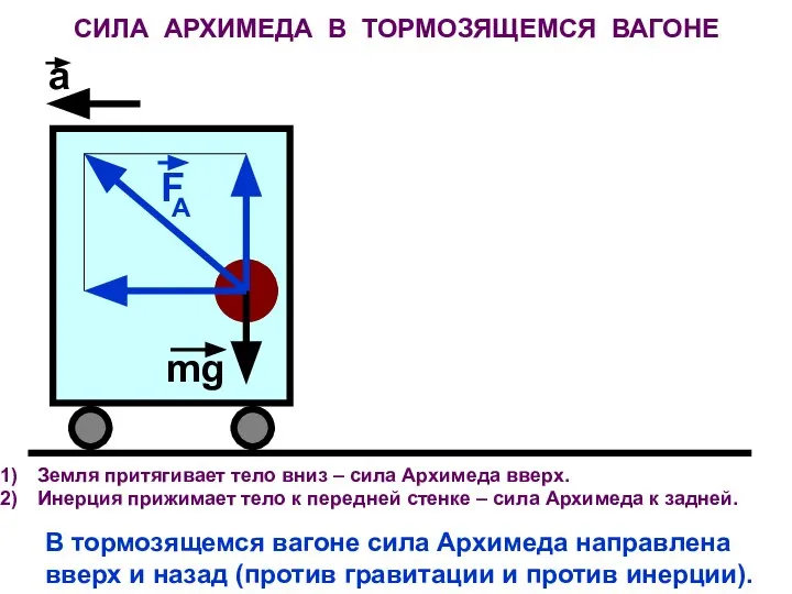 СИЛА АРХИМЕДА В ТОРМОЗЯЩЕМСЯ ВАГОНЕ F A mg a Земля притягивает