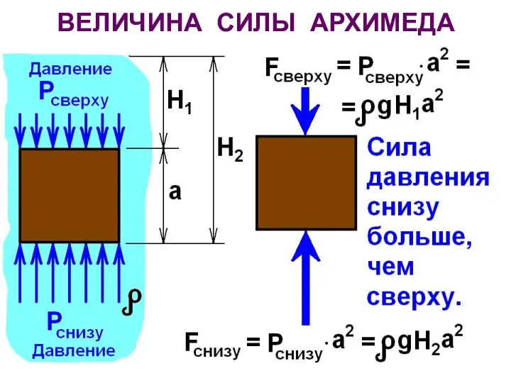 ВЕЛИЧИНА СИЛЫ АРХИМЕДА