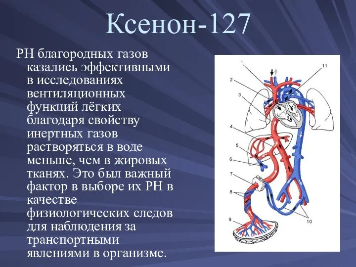 Ксенон-127 РН благородных газов казались эффективными в иссле­дованиях вентиляционных функций лёгких