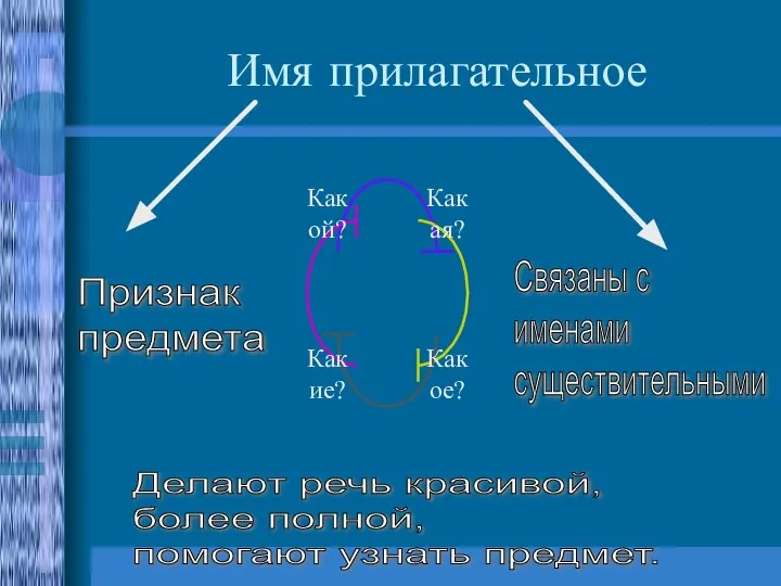 Имя прилагательное Признак предмета Связаны с именами существительными Делают речь красивой, более полной, помогают узнать предмет.