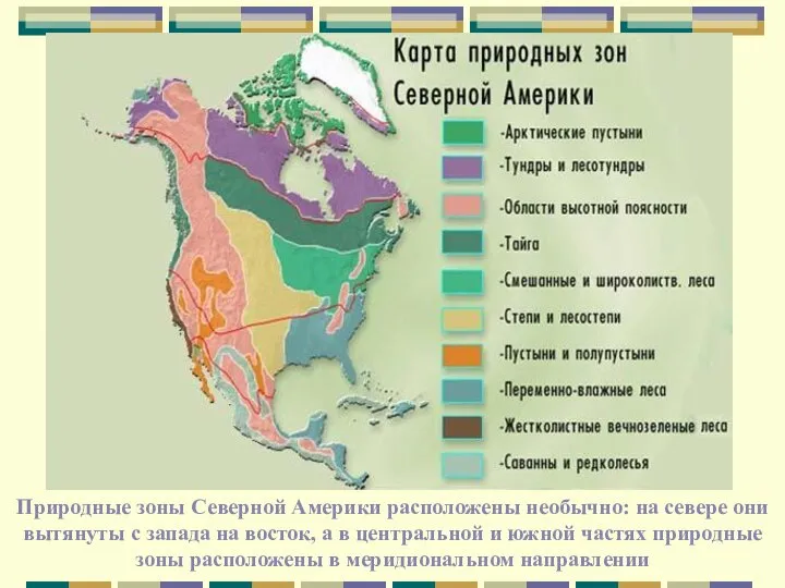 Природные зоны Северной Америки расположены необычно: на севере они вытянуты с