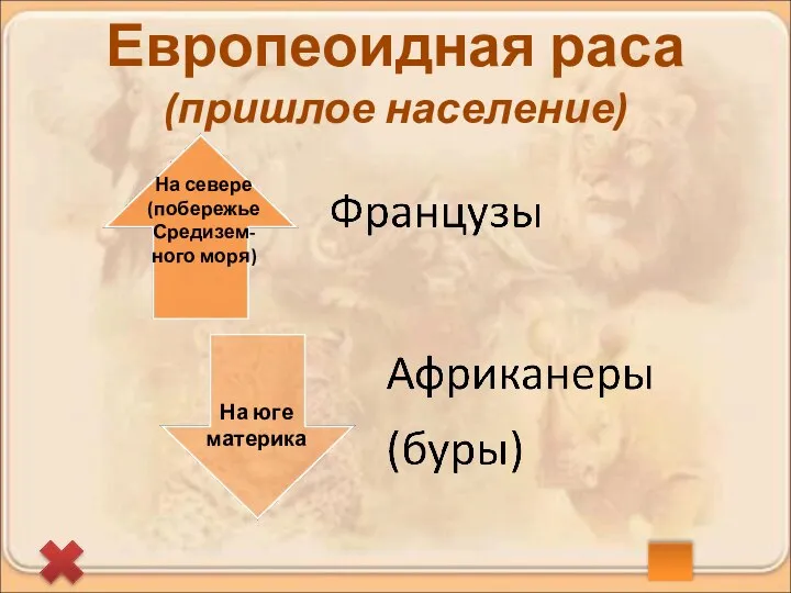 На севере (побережье Средизем-ного моря) На юге материка Европеоидная раса (пришлое население)