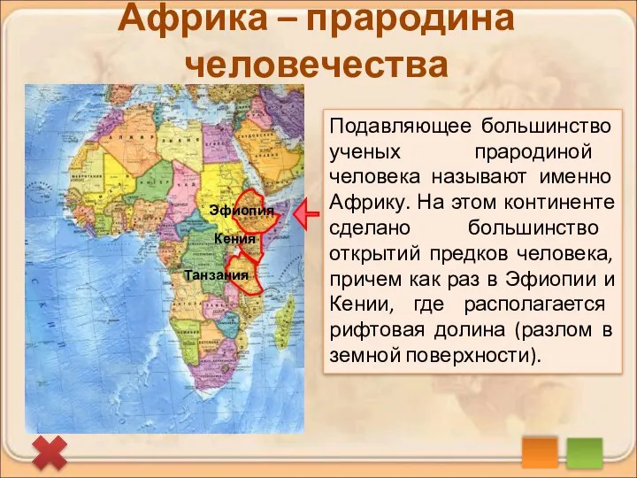 Эфиопия Кения Танзания Африка – прародина человечества Подавляющее большинство ученых прародиной