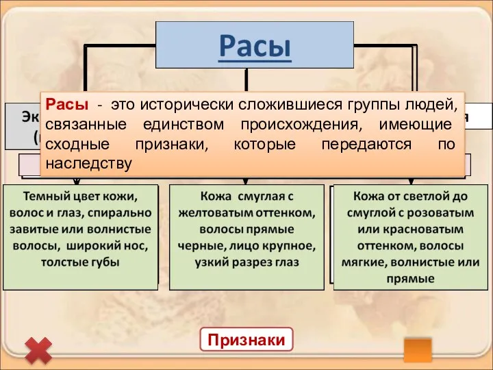 Признаки Расы - это исторически сложившиеся группы людей, связанные единством происхождения,