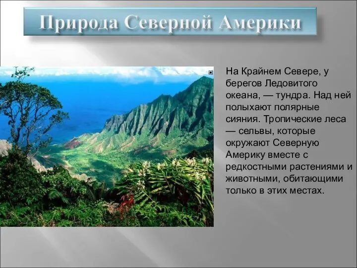 На Крайнем Севере, у берегов Ледовитого океана, — тундра. Над ней