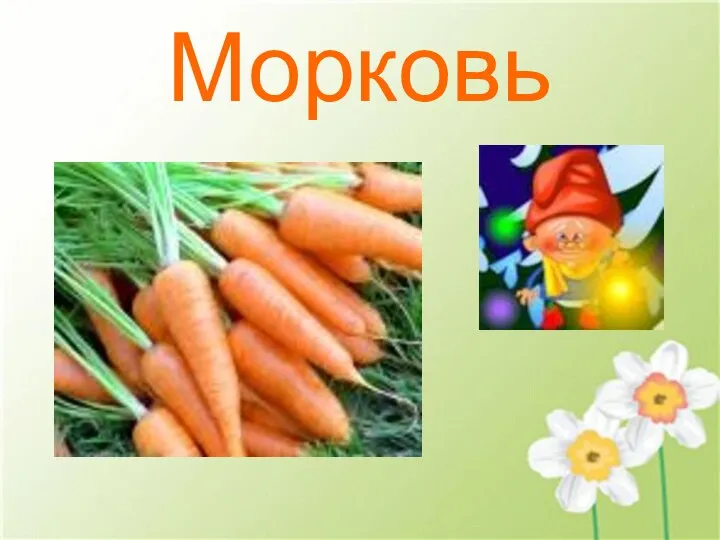 Морковь