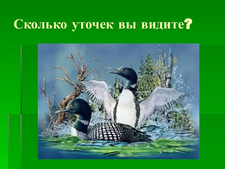 Сколько уточек вы видите?