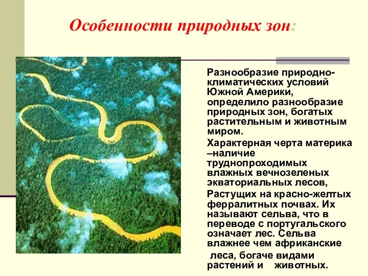 Особенности природных зон: Разнообразие природно-климатических условий Южной Америки, определило разнообразие природных
