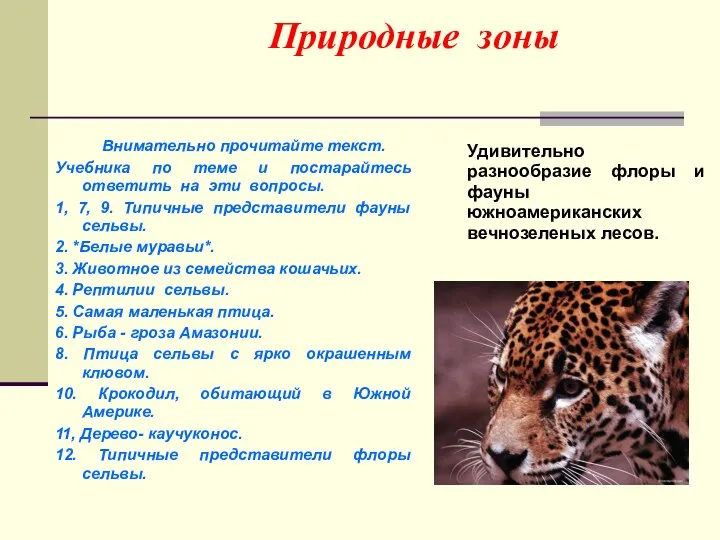 Природные зоны Внимательно прочитайте текст. Учебника по теме и постарайтесь ответить