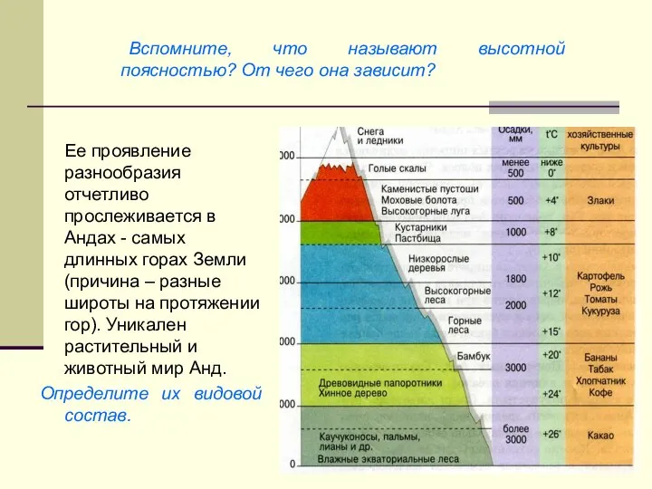 Ее проявление разнообразия отчетливо прослеживается в Андах - самых длинных горах