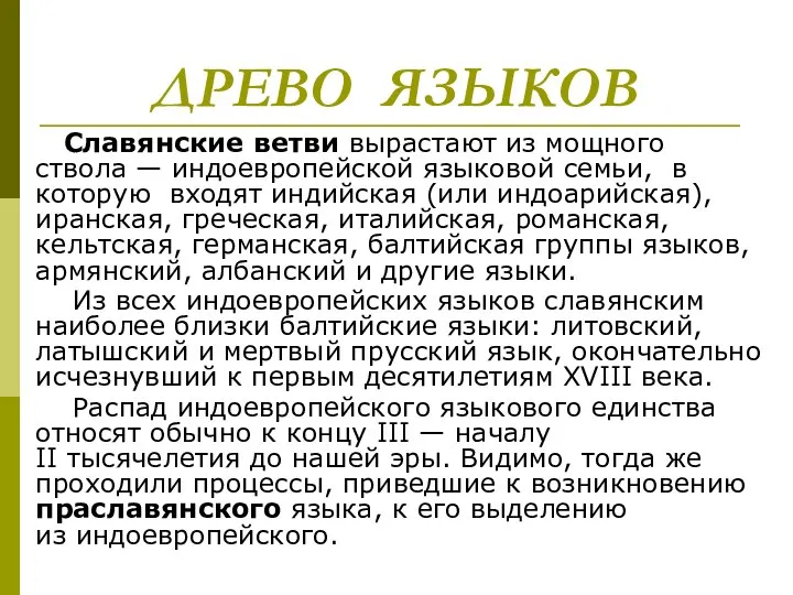 ДРЕВО ЯЗЫКОВ Славянские ветви вырастают из мощного ствола — индоевропейской языковой