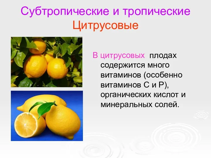 Субтропические и тропические Цитрусовые В цитрусовых плодах содержится много витаминов (особенно