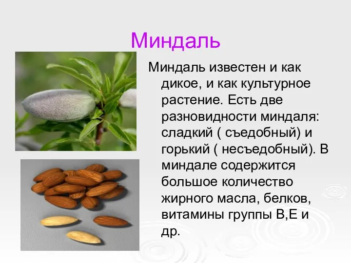 Миндаль Миндаль известен и как дикое, и как культурное растение. Есть