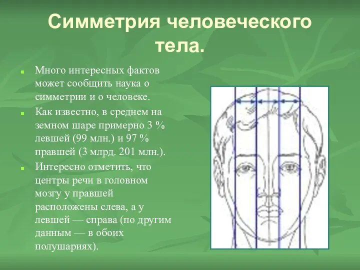 Симметрия человеческого тела. Много интересных фактов может сообщить наука о симметрии