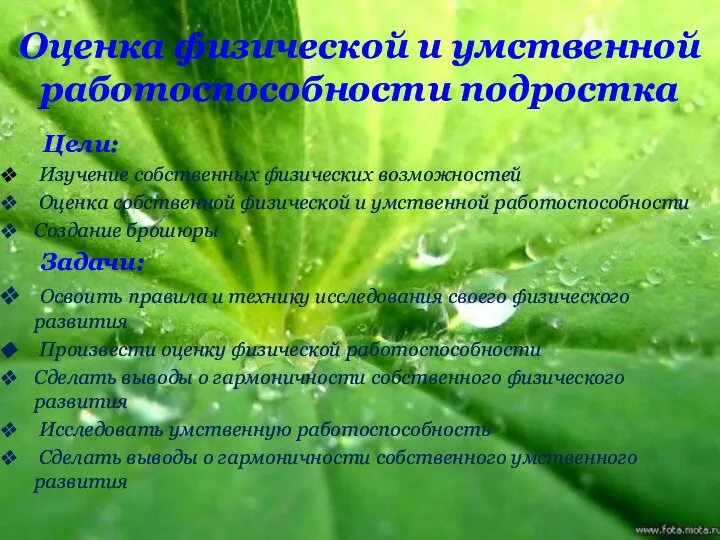 Оценка физической и умственной работоспособности подростка Цели: Изучение собственных физических возможностей