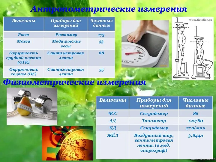 Антропометрические измерения Физиометрические измерения