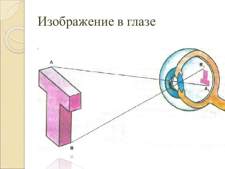 Изображение в глазе