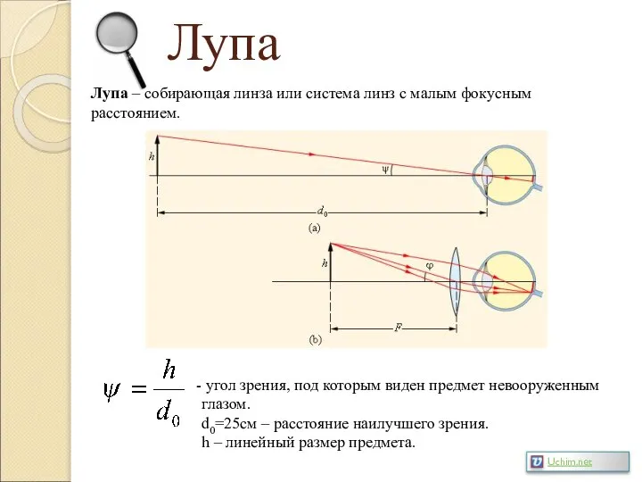 Лупа Лупа – собирающая линза или система линз с малым фокусным