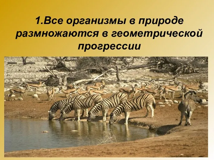 1.Все организмы в природе размножаются в геометрической прогрессии