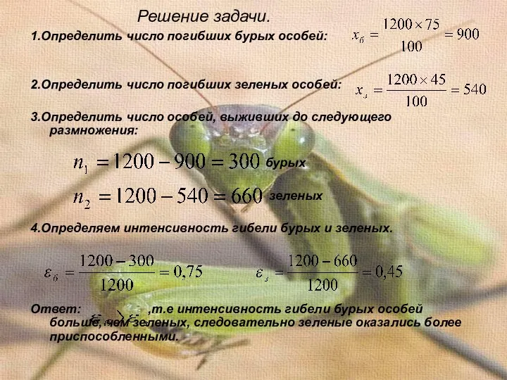 Решение задачи. 1.Определить число погибших бурых особей: 2.Определить число погибших зеленых