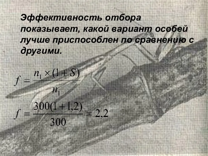 Эффективность отбора показывает, какой вариант особей лучше приспособлен по сравнению с другими.