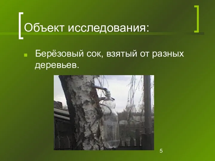 Объект исследования: Берёзовый сок, взятый от разных деревьев.