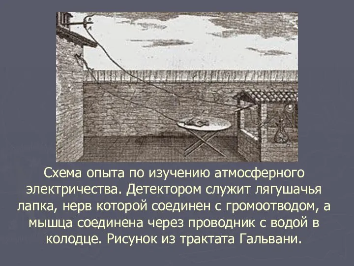 Схема опыта по изучению атмосферного электричества. Детектором служит лягушачья лапка, нерв