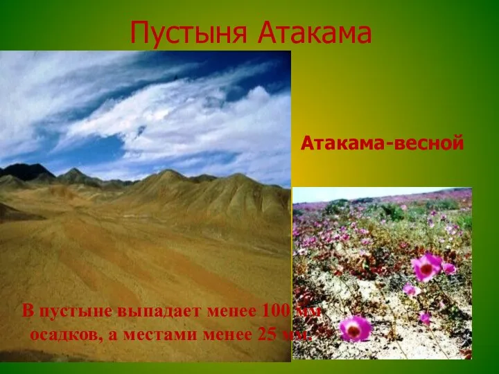 Пустыня Атакама В пустыне выпадает менее 100 мм осадков, а местами менее 25 мм. Атакама-весной