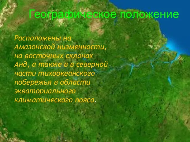 Расположены на Амазонской низменности, на восточных склонах Анд, а также в