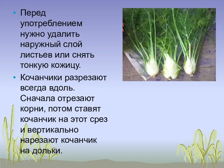 Перед употреблением нужно удалить наружный слой листьев или снять тонкую кожицу.