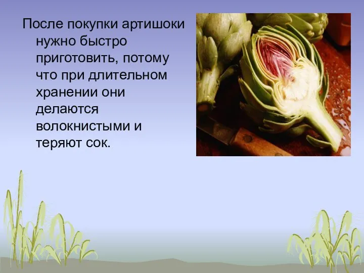 После покупки артишоки нужно быстро приготовить, потому что при длительном хранении