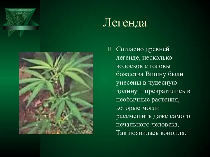 Легенда Согласно древней легенде, несколько волосков с головы божества Вишну были