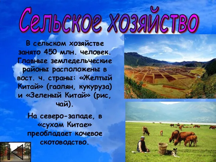 В сельском хозяйстве занято 450 млн. человек. Главные земледельческие районы расположены