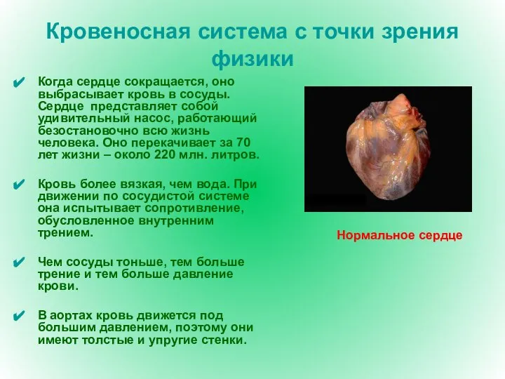 Кровеносная система с точки зрения физики Когда сердце сокращается, оно выбрасывает