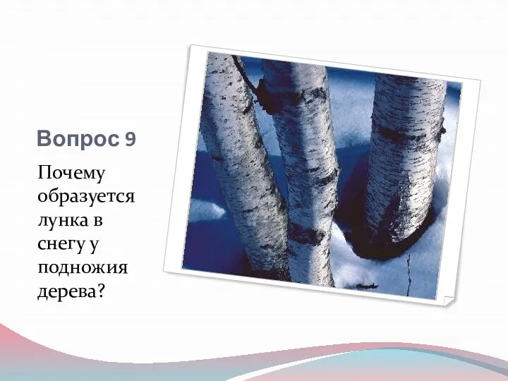 Вопрос 9 Почему образуется лунка в снегу у подножия дерева?