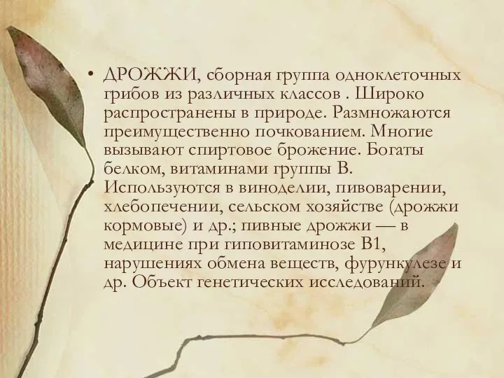 ДРОЖЖИ, сборная группа одноклеточных грибов из различных классов . Широко распространены