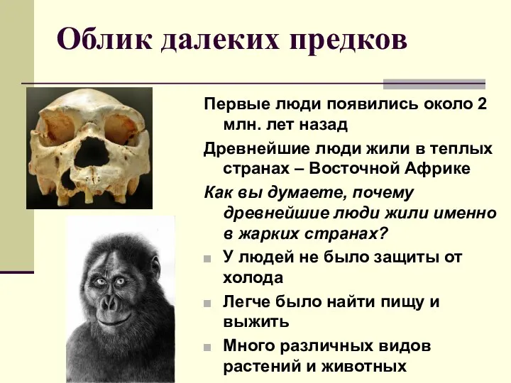 Облик далеких предков Первые люди появились около 2 млн. лет назад