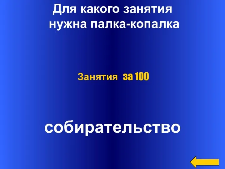 Для какого занятия нужна палка-копалка собирательство Занятия за 100