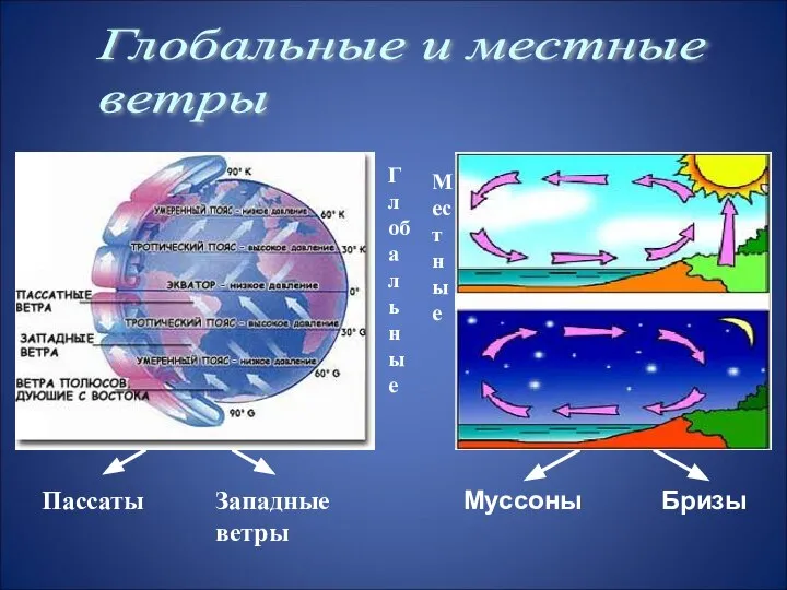 Глобальные и местные ветры Глобальные Мес тные Пассаты Западные ветры Муссоны Бризы