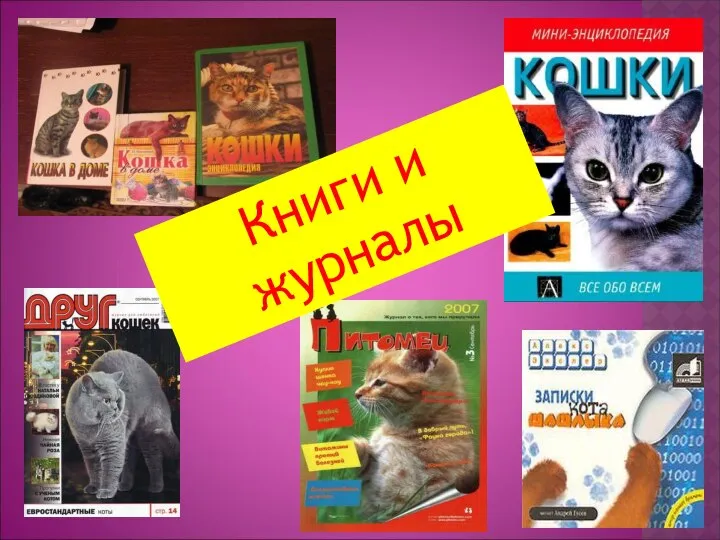 Книги и журналы