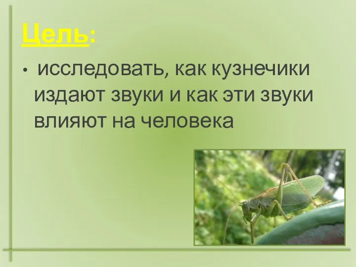 Цель: исследовать, как кузнечики издают звуки и как эти звуки влияют на человека