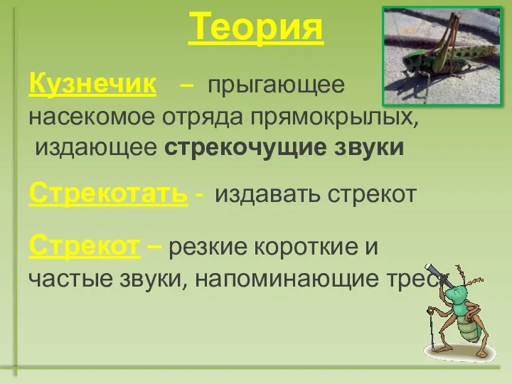 Кузнечик – прыгающее насекомое отряда прямокрылых, издающее стрекочущие звуки Стрекотать -