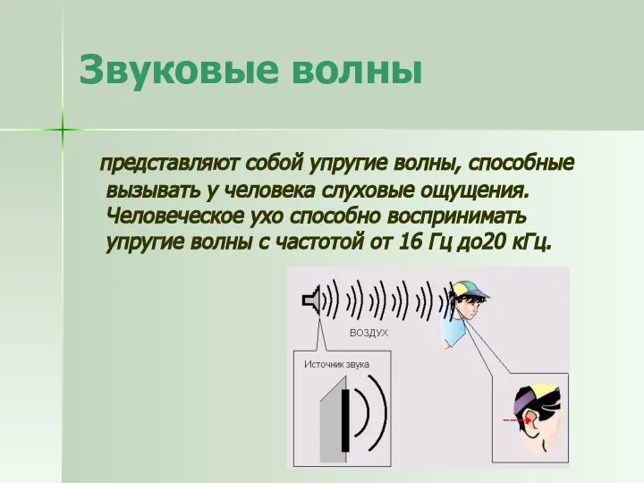 представляют собой упругие волны, способные вызывать у человека слуховые ощущения. Человеческое