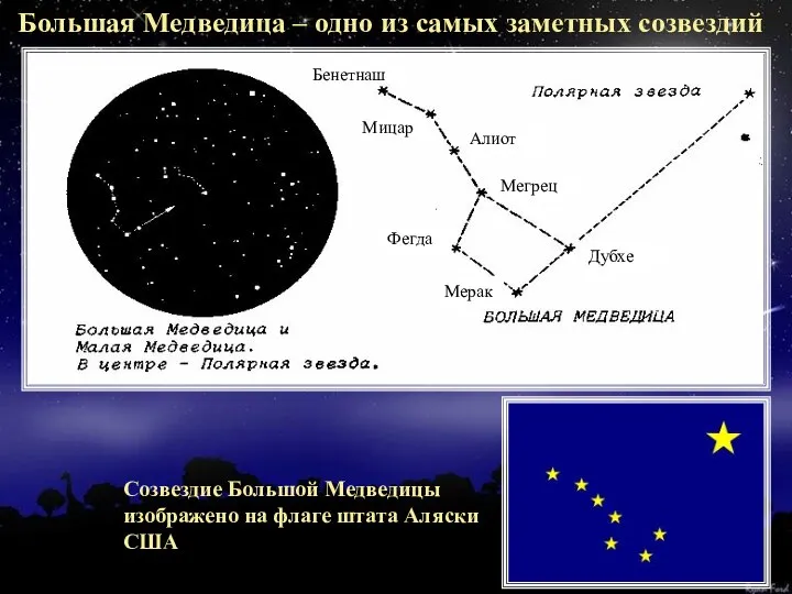 Большая Медведица – одно из самых заметных созвездий Созвездие Большой Медведицы