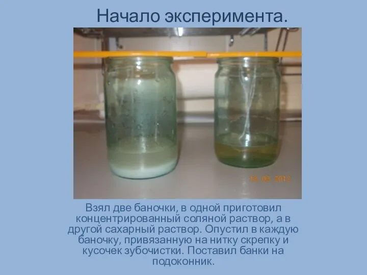 Начало эксперимента. Взял две баночки, в одной приготовил концентрированный соляной раствор,